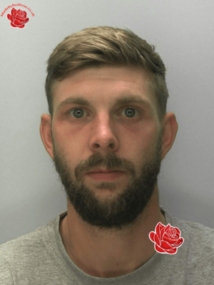 Daniel Lord – profile image
