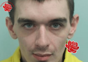 Ryan Bruce – profile image