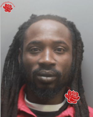 Abdoulayr Fall – profile image