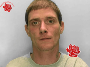 Craig McAndrew – profile image