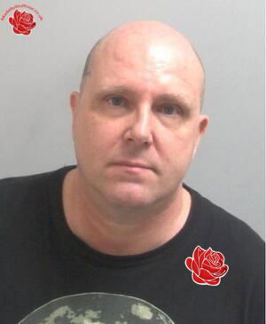 Steven Thomas – profile image