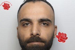 Alireza Nourozi – profile image