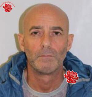 David Mortimer – profile image