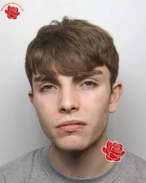 Thomas Griffiths – profile image