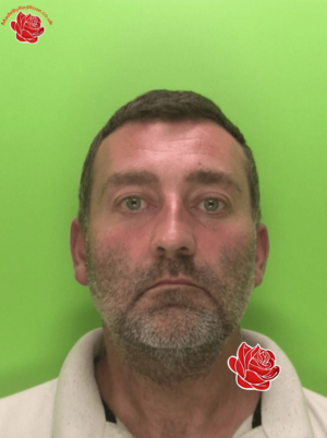 Steve Wright – profile image