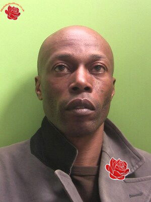 Richard Todd – profile image