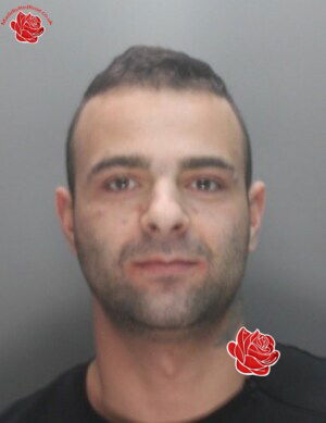 Liam Pressley – profile image