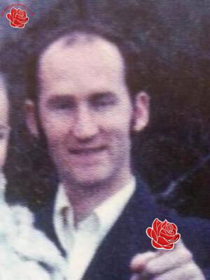 Michael Cunningham – profile image