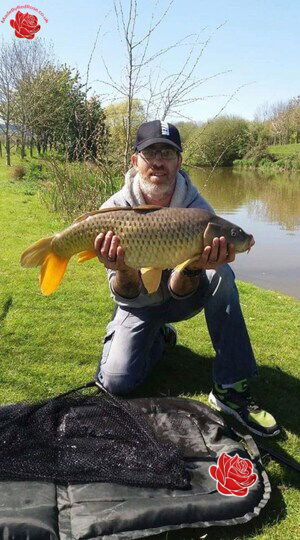 Ian Roberts – profile image