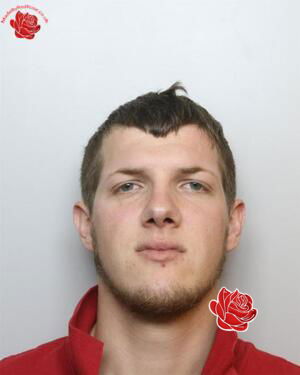 Daniel Reed – profile image