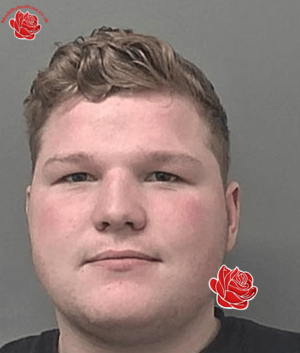 Steven Clarke – profile image