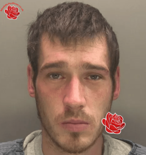 Nathan Pedge – profile image