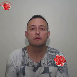Mark Hatch – profile image