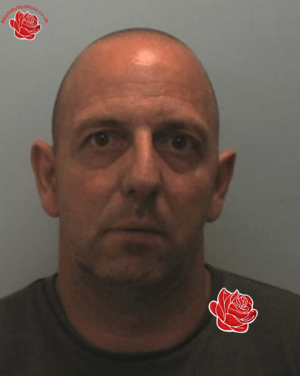 Stephen Pearson – profile image