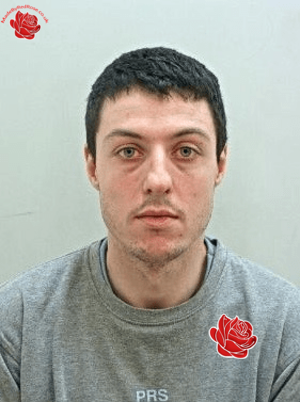 Mark Hughes – profile image