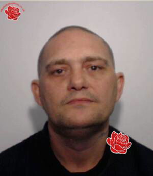 Lee Hodgins – profile image