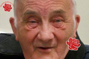 Stephen Merrifield – profile image