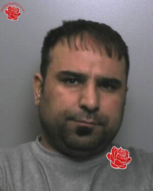 Dana Abdullah – profile image