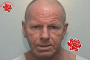 Noel Rigby – profile image