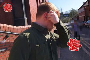 Matthew Bradley – profile image