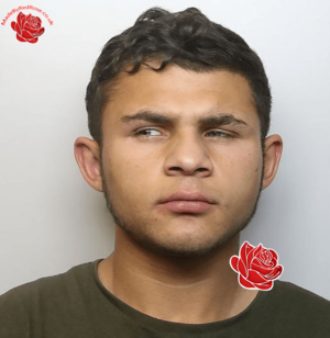 Roman Krok – profile image