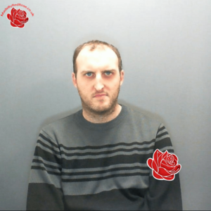Christopher Walton – profile image