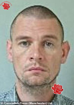 Mark Hannah – profile image