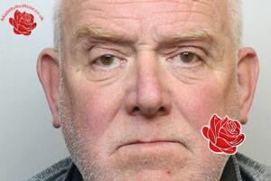 Dewi Thomas – profile image