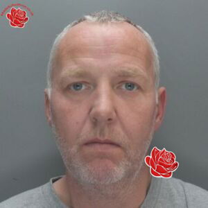 Alan Williams – profile image