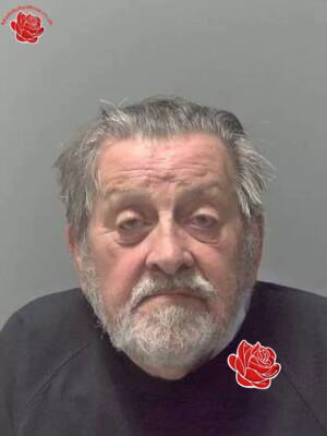 Peter Bradley – profile image