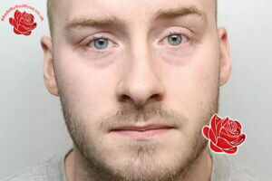 Jordan Harrison – profile image