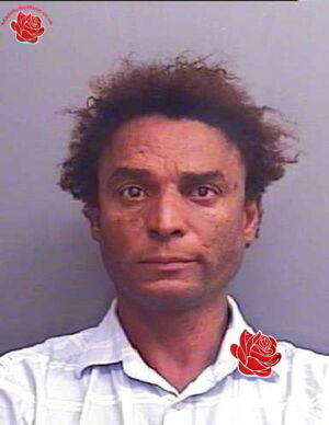Ronald Toyer – profile image