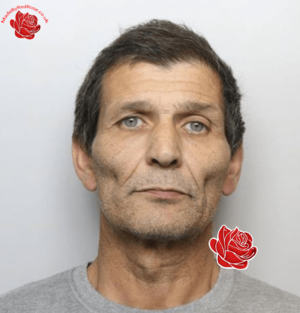 Michael Cooley – profile image