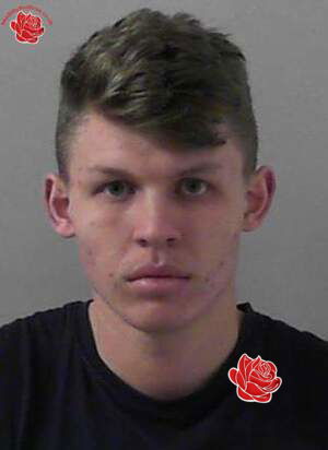 William Evans – profile image