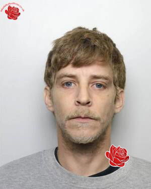 Philip Stott – profile image