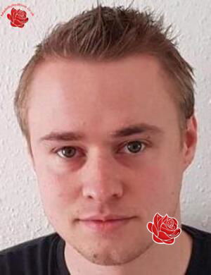 Neal Harris – profile image