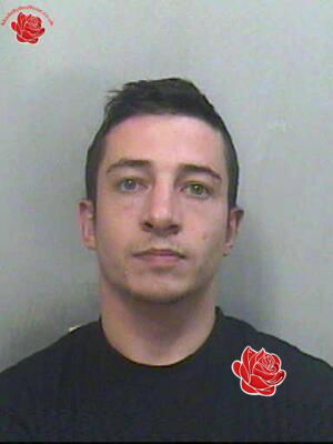 Adam Collier – profile image