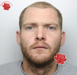Jared Perry – profile image