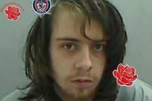 Michael Holton – profile image