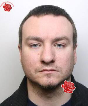 Lee Fox – profile image