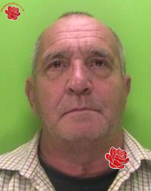 David Robinson – profile image