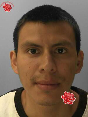 Alejandro Cuenca – profile image