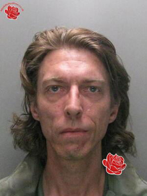 Stephen Dews – profile image