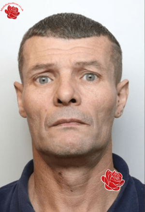 Anthony Harvey – profile image
