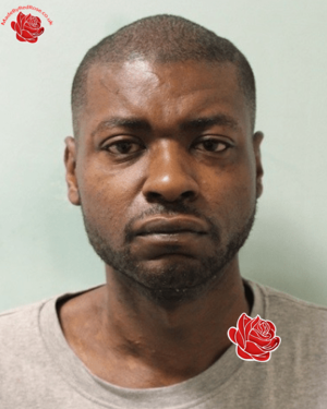 Dorian Bell – profile image