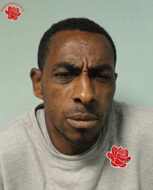 Rupert Deeble – profile image
