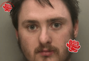Daniel Brown – profile image
