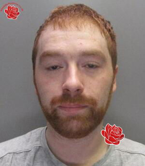 Matthew Brown – profile image