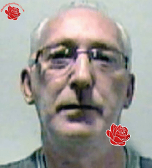 David Whitehead – profile image