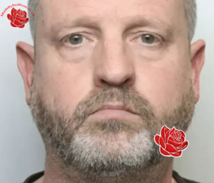 Robin Scott – profile image